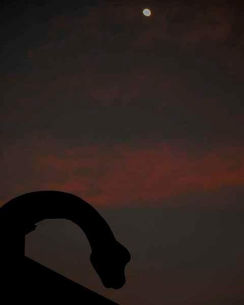 Margie's Family Bistro - Events Australia 3