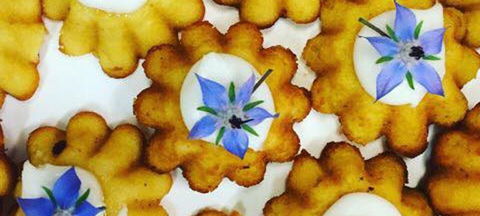 Little Kickerbell - Events Australia 9