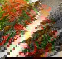 Bua Thong Armidale - Tourism Bookings