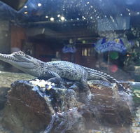 Tims Surf n Turf - Events Australia