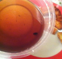 Labrador Chinese Restaurant - Events Australia