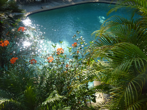 Avoca Beach Hotel - Events Australia 0