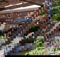 Zeus Street Greek - Events Australia