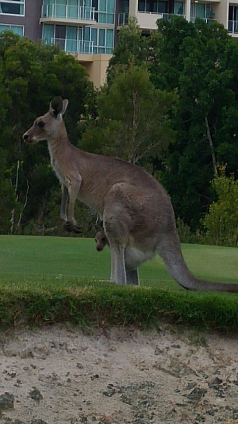 T On Course - Events Australia 6