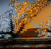 Tradies Helensburgh - Events Australia