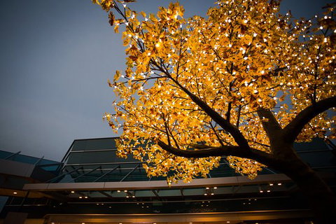 Tradies Helensburgh - Events Australia 0