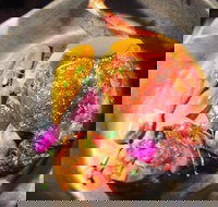 The Petit Snail - Events Australia