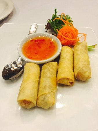 Nine Elephants - Tourism Bookings 0