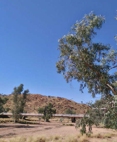 Bean Tree Cafe - Events Australia 3