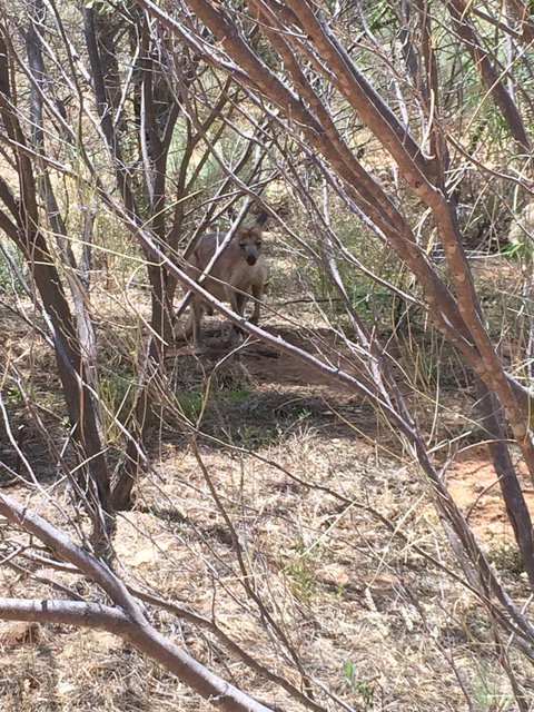 Bean Tree Cafe - Events Australia 4