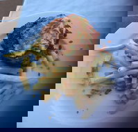 Bayside Inn - Events Australia