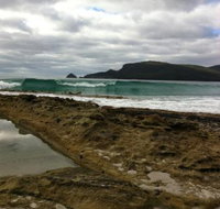 Bruny Island Berry Farm - Events Australia