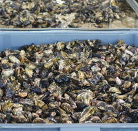 Lease 65 - Events Australia