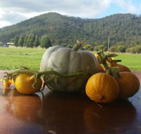 Mount Gnomon Farm - Events Australia