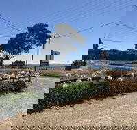 Penguin  Pardalote Coffee House - Events Australia