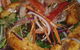 Teez Cafe At Tarraleah - thumb 4