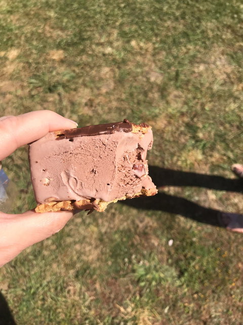 The Pondering Frog - Tourism Bookings 10