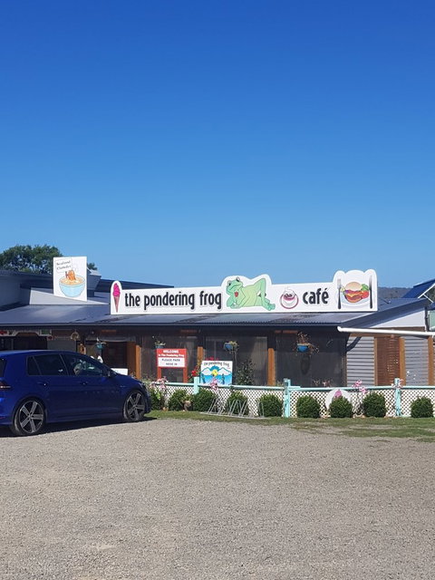 The Pondering Frog - Tourism Bookings 2