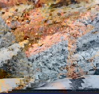 Lawley's Bakery Cafe - Events Australia