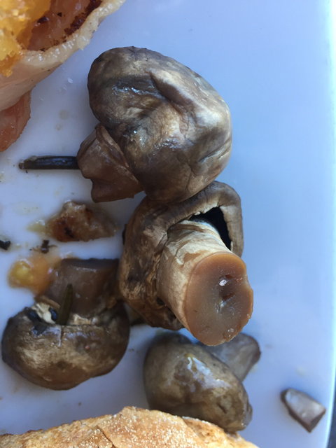 Over Board Cafe - Events Australia 1