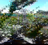 Roworth Rose Nursery - Events Australia