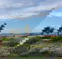 Coffee Cat - Events Australia