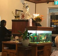 Fu Wah Chinese Restaurant and Takeaway - Accommodation Europe