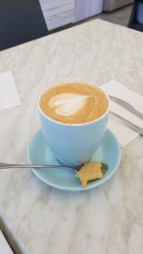 Little Teapot Cafe - Events Australia 2