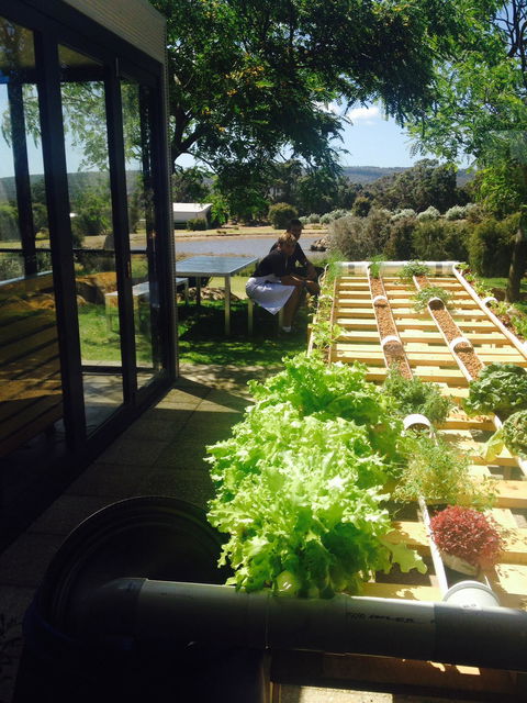 Petra Olive Oil Shed Door Tasting Room & Farm Shop - Accommodation Europe 1