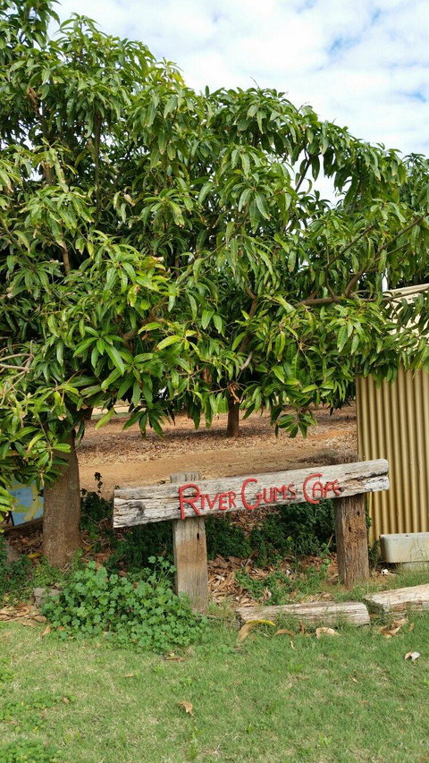 River Gums Cafe - Events Australia 2