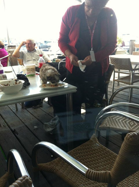 Sharky's Restaurant Bar And Grill - Events Australia 5