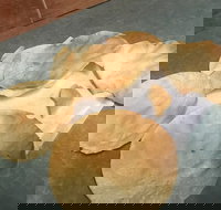 The Taj Restaurant - Events Australia