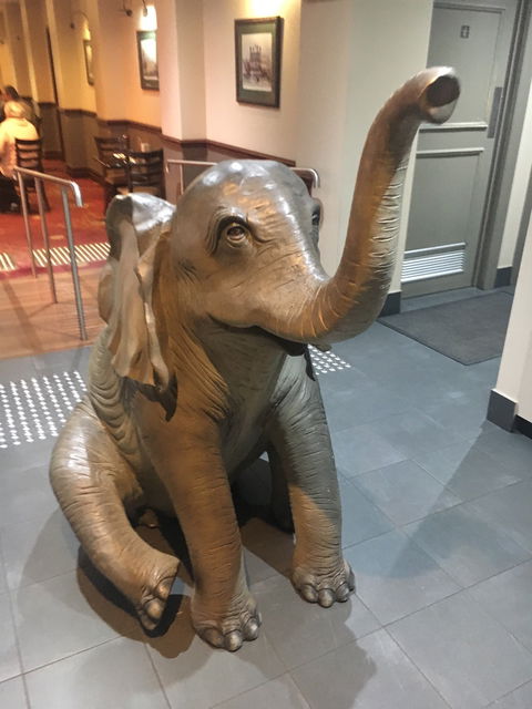 Elephant And Castle - Events Australia 1