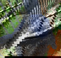 Cafe Settebello - Events Australia