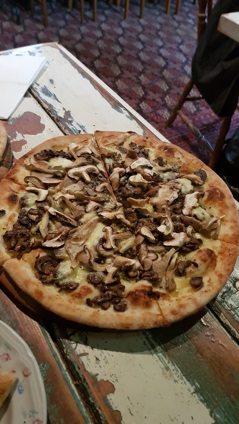 Lost In A Forest - Events Australia 4