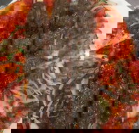 Jannah Charcoal Chicken - Events Australia