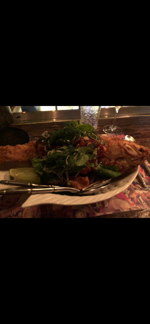 Longtime - Events Australia 5