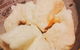 Taste Gallery - thumb 5