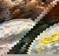 Jimmy Grants - Events Australia