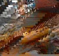 The Bavarian Coomera - Events Australia