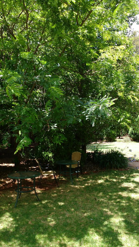 Kingfishers Cafe Restaurant - Tourism Bookings 4