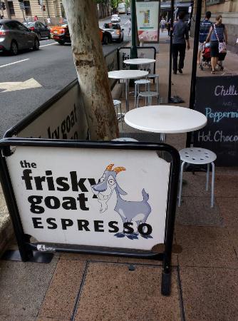 Frisky Goat Espresso - Tourism Bookings 0