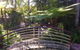 Lorikeet's Coffee Shop - thumb 0