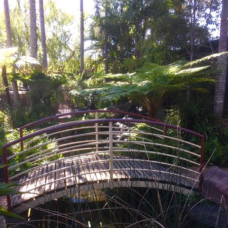 Lorikeet's Coffee Shop - Accommodation Europe 0