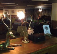 The Bison Bar - Events Australia