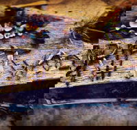 Driftwood Cafe - Events Australia