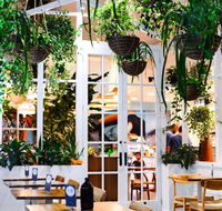 Ivy  Lark - Events Australia