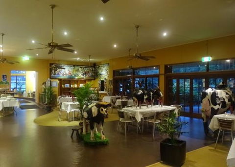 Malanda Dairy Centre - Tourism Bookings 0