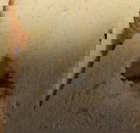 Sugarloaf Baking Co - Events Australia