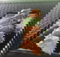 Three Black Sheep Cafe - Events Australia